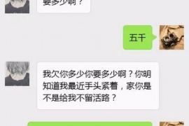 绍兴债务清欠服务